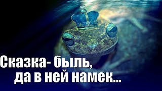 Сказка - быль, да в ней намёк ... Сказка - быль, да в ней намёк ...