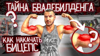 Как накачать Огромный Бицепс ?!