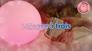 Lizot, Holy Molly - Menage A Trois (Kalimba cover by Margad)