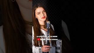 - La Cârciuma De La Drum