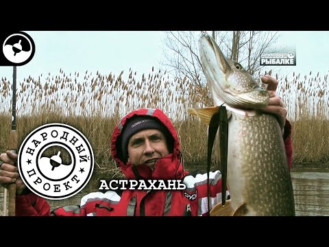 Крупная щука в мелких ериках. Рыбалка в Астрахани | Народный проект