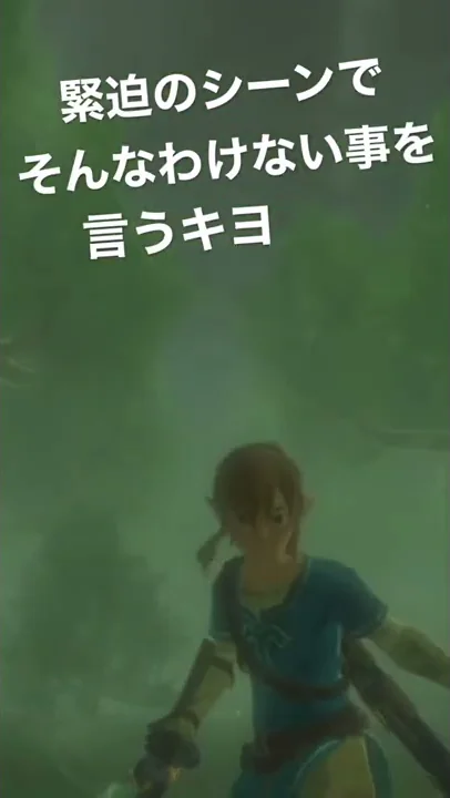 リンクかっこいい