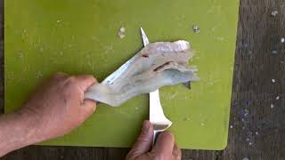 HOW-TO TIP: Easily Fillet Flathead