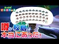 【神回】噂のサメ島は本当にあった!サメしか釣れない鮫島編【あつまれどうぶつの森】