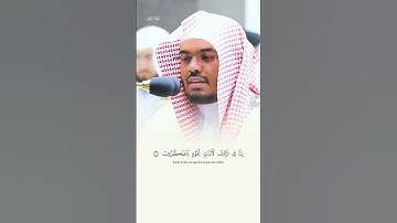 #تلاوة_خاشعة #ياسر_الدوسري #القران_الكريم_راحه_نفسية #القران_الكريم #المسجدالحرام #تلاوة #ماشاءالله