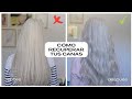 Cómo recuperar tus canas después de dañarlas