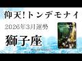獅子座3月はトンデモ!仰天の大アルカナ祭り。今が転機、ここが分かれ道です!2026年3月運勢【癒しのタロット個人鑑定級】