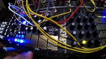 make noise black & gold shared system tekno test