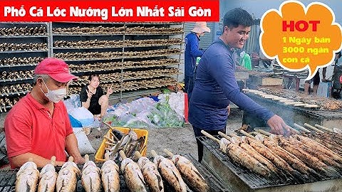 Phố Cá Lóc Nướng  HOT  Nhất  Thành Phố Hồ Chí Minh Ngày Vía Thần Tài Bán Mấy Ngàn Con Cá  Nướng