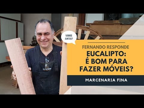 Eucalipto: é uma madeira boa para móveis? Fernando responde.