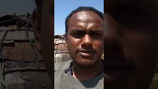 ஒரு ஆணுக்கு மூணு மனைவியா!? | Dash Nage People's Culuture | Tamil Trekker