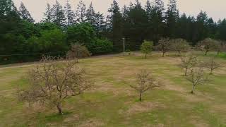 44730 NW Hartwick Road video tour