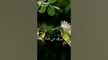 سورة الشورى الله لطيف بعباده يرزق من يشاء وهو القوى العزيز