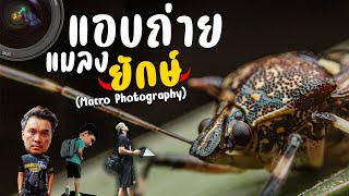 ep.29 ถ่ายภาพมาโคร(Macro)ด้วยอุปกรณ์ DIY [Trick]