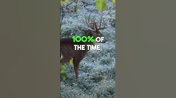 The time is now! Make sure you are getting the most out of your scrapes.