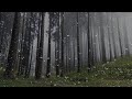 Sonido de Lluvia y Truenos en el Bosque Brumoso - 3 Horas Lluvia Relajante Para Dormir