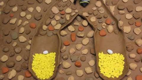 Life Cycle of the Squash Bee (Peponapis pruinosa)