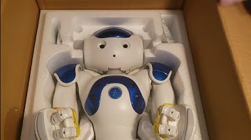 🎉 "Nao Robot Surprise: Ben