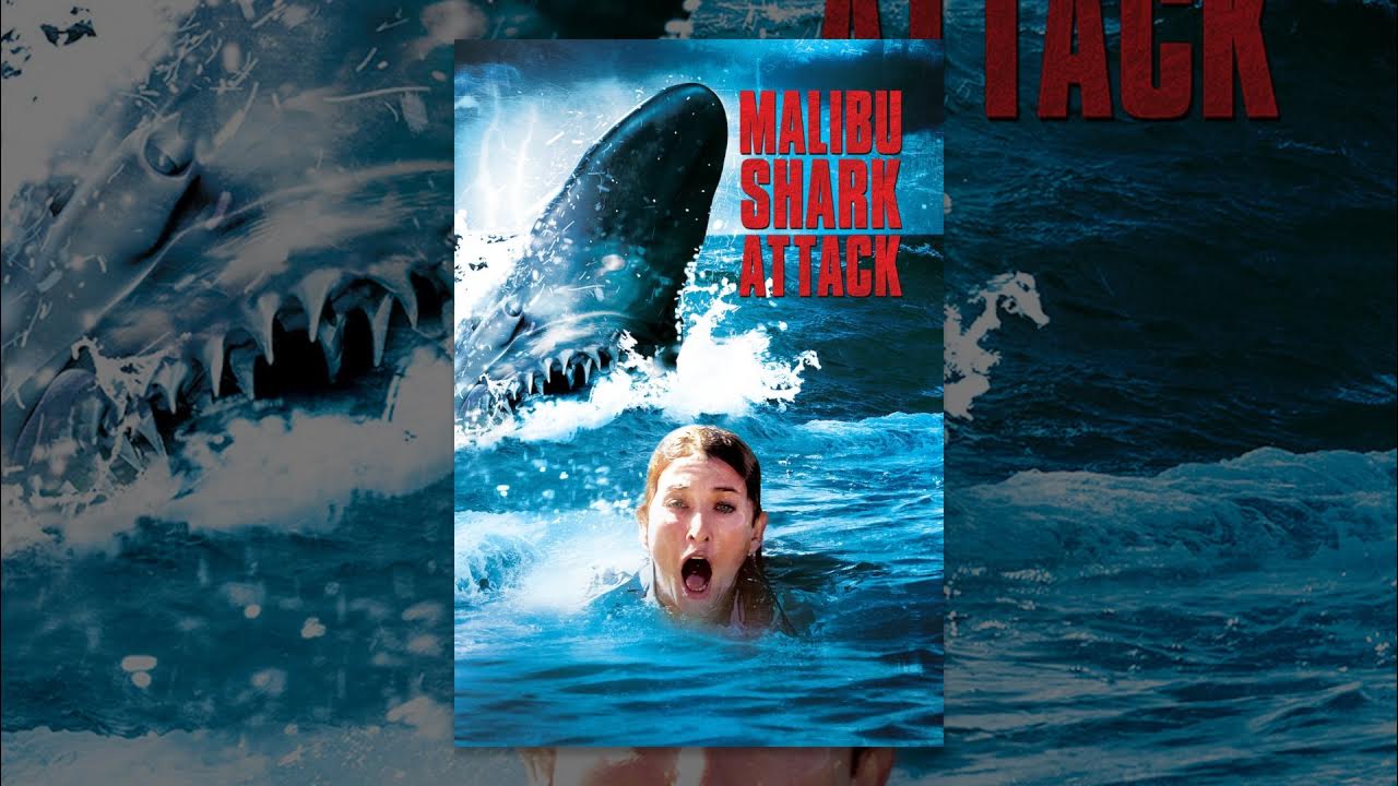 Malibu Shark Attack - YouTube