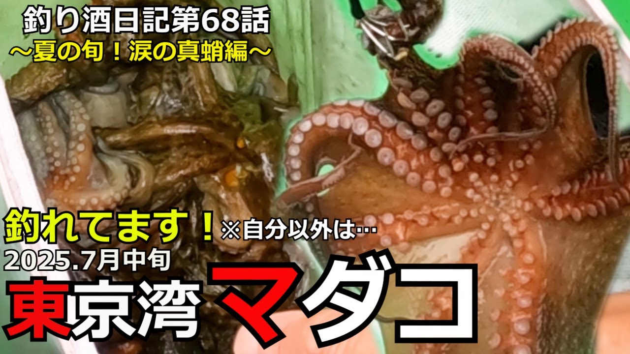 【マダコ】東京湾で真蛸を釣る！「釣り酒日記」第68話涙の真蛸編🐙