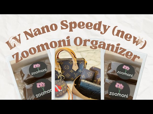 LV Nano Speedy (new) And Zoomoni Organizer 