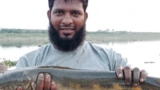 Best Snakehead Fish Catching Marrel Fish Catching Karnataka River Unique Fishing Nice Fishing