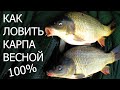 Лучшая оснастка для ловли КАРПА ВЕСНОИ !!!