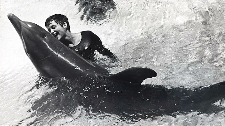 Dolphin House: An Outlandish Tragedy