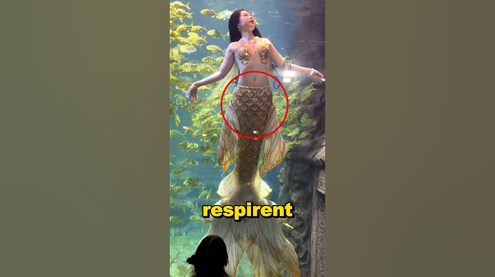 Comment respirent les sirènes ?🤔😨