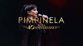 PIMPINELA en Chile | 13 de Mayo, Movistar Arena