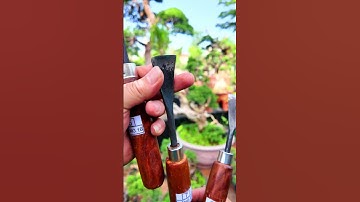 Bộ 3 Mũi đục Cây cảnh (Link mua trong màn hình video) #bonsaishop