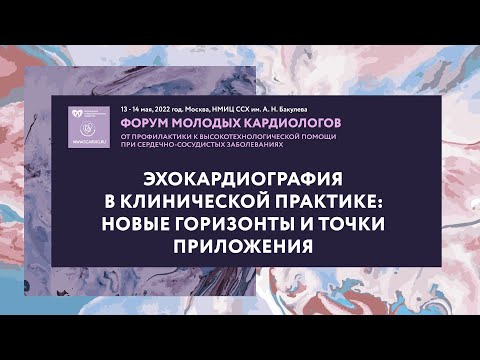 Эхокардиография в клинической практике: новые горизонты и точки приложения