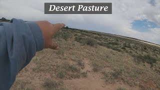 We Did A Thing by High Desert Homestead 321 views 11 months ago 17 minutes