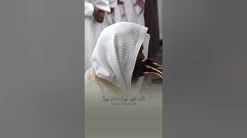 محمد برهجي سورة المائدة