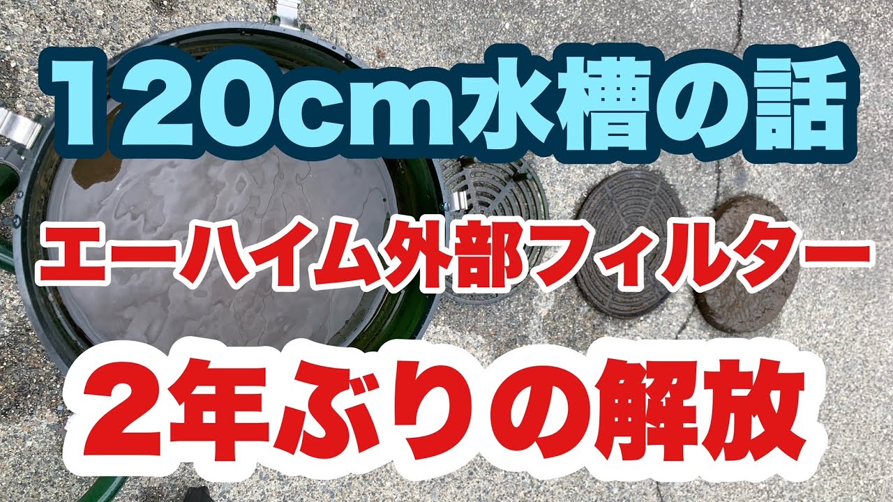 120cm 水槽(希望あれば外部フィルターもつけます) 送料無料】 コトブキ 120cm水槽 外部フィルター付き4点セット LED仕様