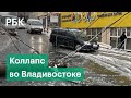 "Ущерб от непогоды колоссальный" - Последствия ледяного дождя во Владивостоке