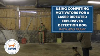 Using Competing Motivators For A Laser Directed Explosives Detection Dog with Jens Frank