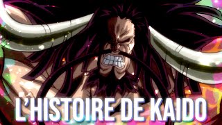 TOUTE L'HISTOIRE DE KAIDO RÉSUMÉE - ONE PIECE