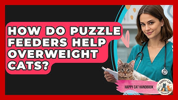 How Do Puzzle Feeders Help Overweight Cats? - Happy Cat Handbook