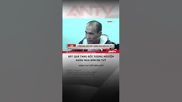 Tạm giữ đối tượng mua bán trái phép chất ma tuý #antv #shorts #tintuc #matuy #bienhoa #dongnai