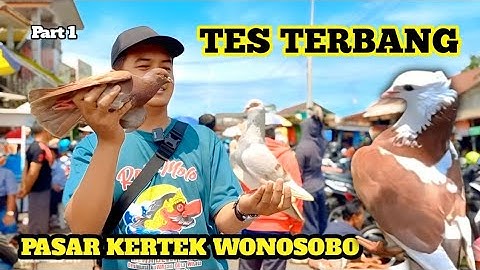 TES TERBANG MERPATI GIRINGAN DI PASAR KERTEK WONOSOBO LANGSUNG BUNGKUS PART 1
