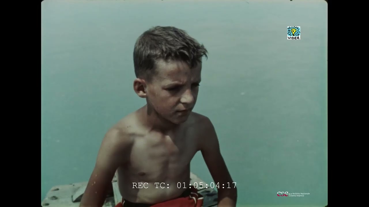 La terra di Comisso  (Francesco De Feo, 1961)