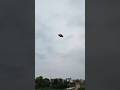 Patang Nahi aaya Chhat Per 😒😒#shortsfeed #kiteflying #trending #kite #funny #like #memes #viralreel