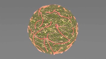 Particle Flow - Worms!