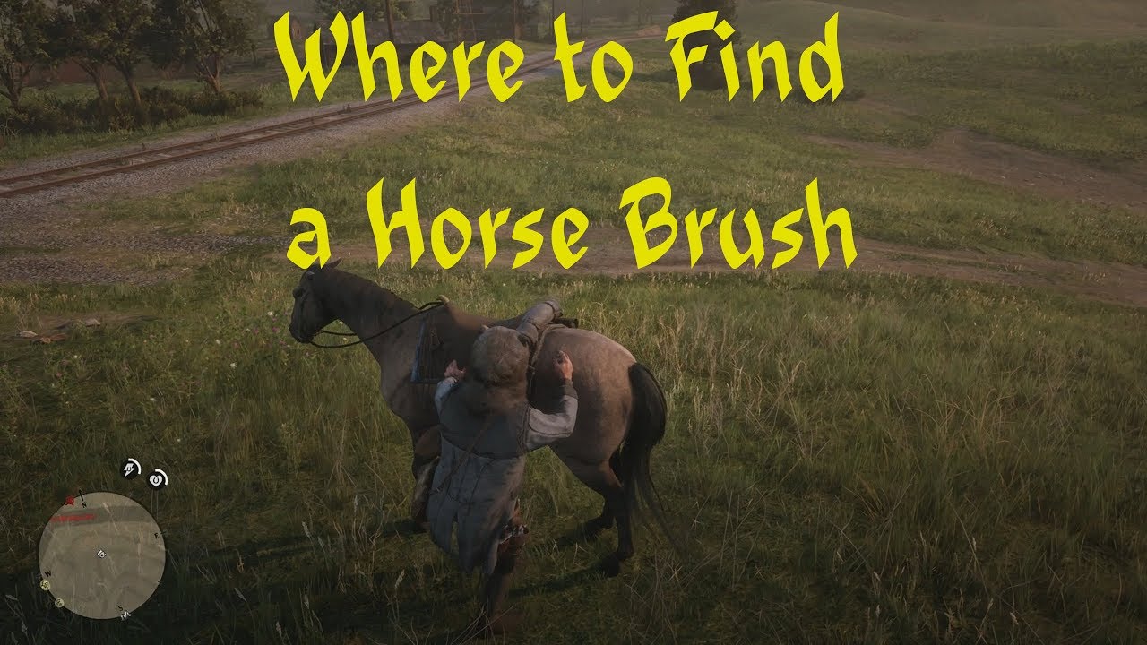 how-to-get-a-horse-brush-and-brush-horse-red-dead-redemption-2-youtube