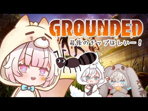 【Grounded】最後のチップ取りに！黒いアリさんのところへ！！【椎名シロホシ/Vtuber】#王様配信シロ