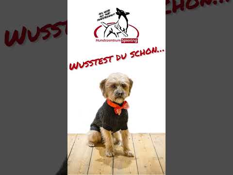 Unglaublich....Hast du das