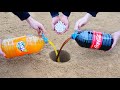 Volcano from Cola, Fanta, Sprite, Mirinda,Pepsi and Mentos Top Reaction