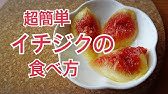 いちじくの皮むき 意外と簡単 いちじくの皮むき3選 どこよりも詳しく Youtube いちじくの皮むき 意外と簡単 いちじくの皮むき3選 どこよりも詳しく Youtube