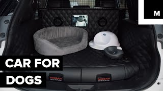 Is This the Most Dog-Friendly Car Ever